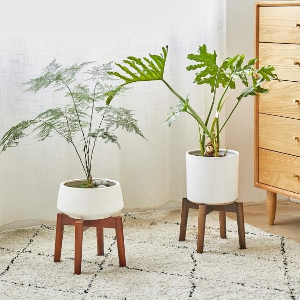 12 Best Plant Stands 2022 | Hgtv In Bronze Small Plant Stands (View 13 of 15)