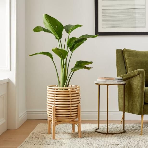 12 Best Plant Stands 2022 | Hgtv With Regard To Indoor Plant Stands (View 9 of 15)