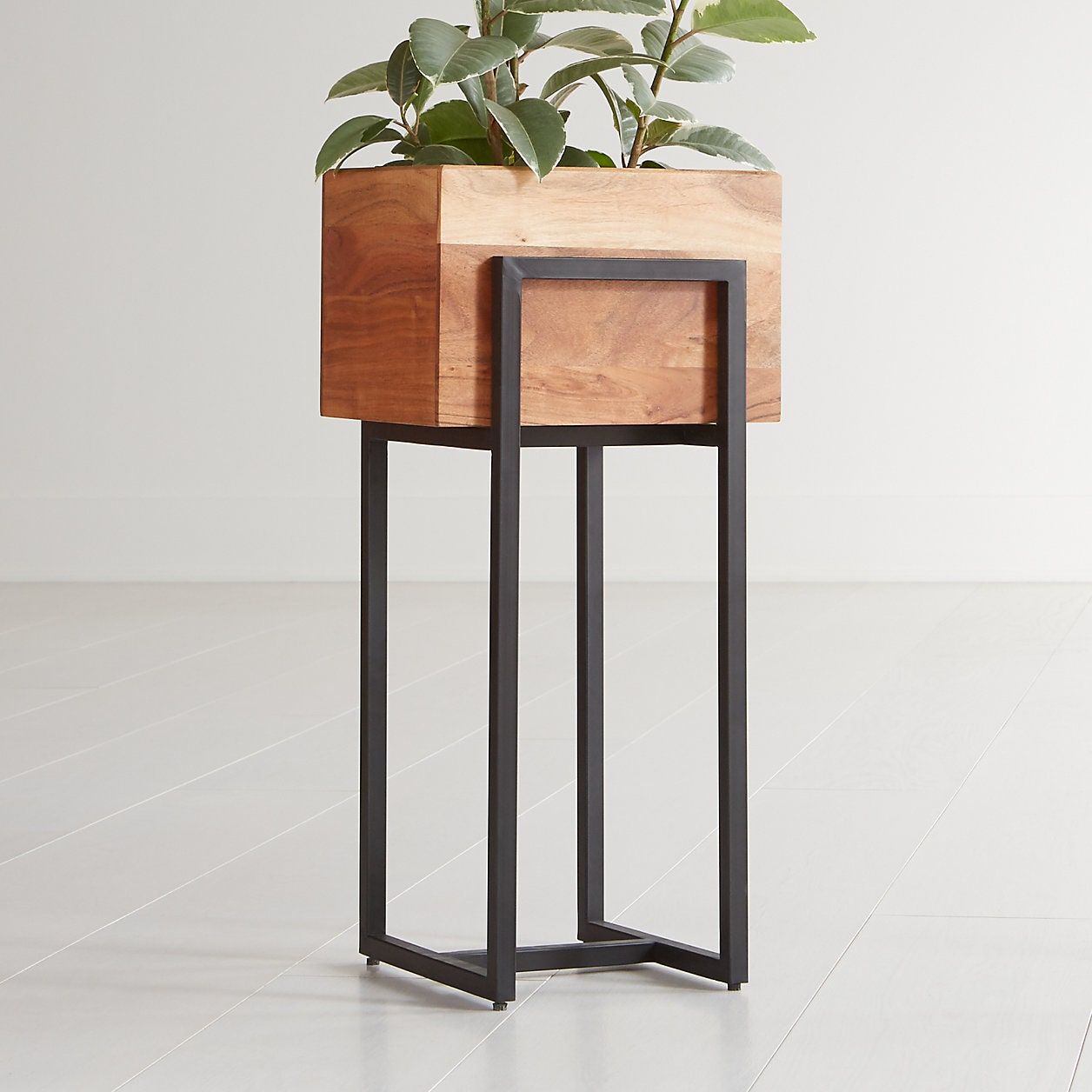 15 Best Indoor Plant Stands That Seriously Stand Out | Architectural Digest Pertaining To Medium Plant Stands (View 14 of 15)