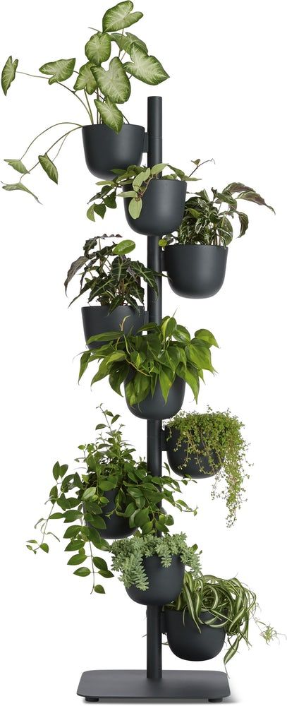 15 Best Indoor Plant Stands That Seriously Stand Out | Architectural Digest Throughout Modern Plant Stands (View 5 of 15)