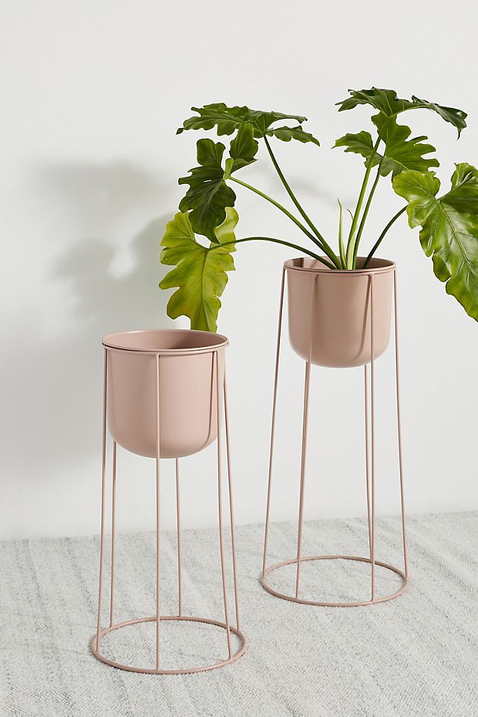 15 Best Indoor Plant Stands That Seriously Stand Out | Architectural Digest With Regard To Modern Plant Stands (View 3 of 15)