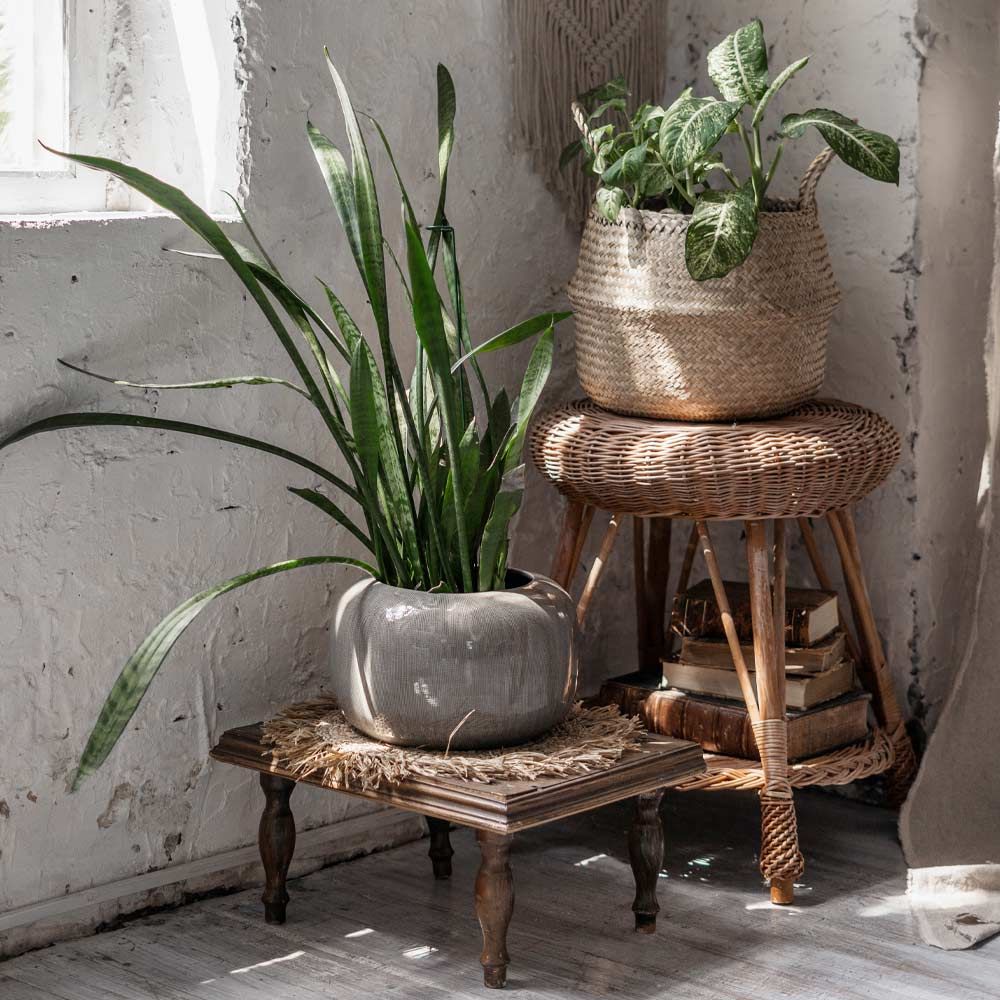 31 Exclusive Plant Stand Ideas To Introduce Into Your Interior Throughout Rustic Plant Stands (View 3 of 15)