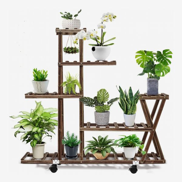 39 Best Plant Stands 2022 | The Strategist For 4 Tier Plant Stands (View 9 of 15)