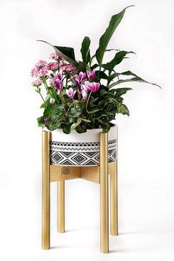 39 Best Plant Stands 2022 | The Strategist With Deluxe Plant Stands (View 14 of 15)