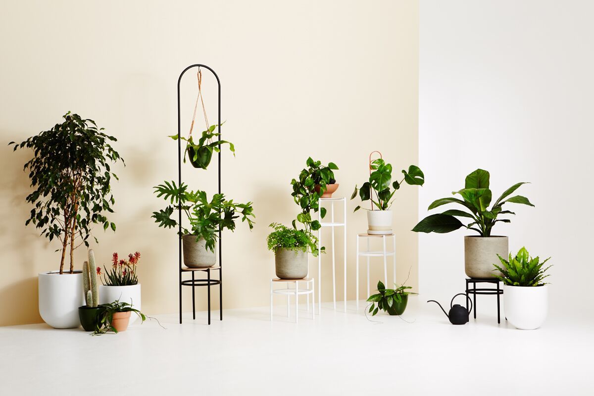 3d Printed Vases + Concrete Plant Stands: Ivy Muse's New Range – The  Interiors Addict Inside Ivory Plant Stands (View 7 of 15)