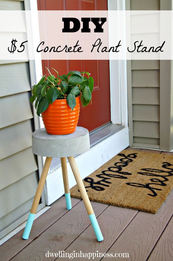 $5 Diy Concrete Plant Stand – Dwelling In Happiness Intended For Cement Plant Stands (View 1 of 15)