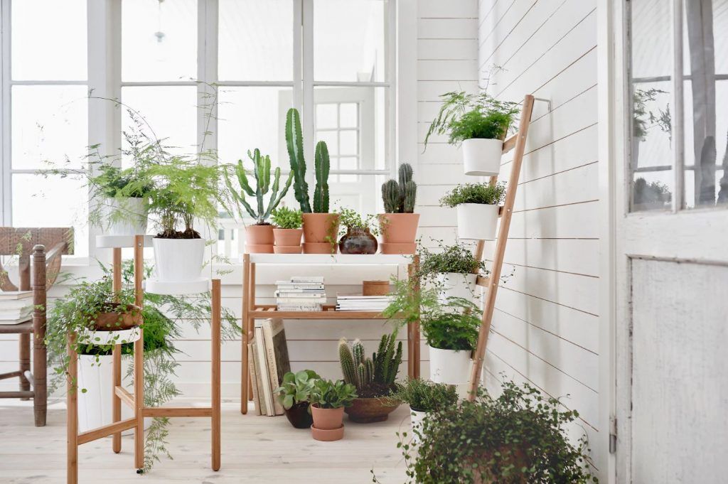 9 Modern Plant Stands For Every Budget – Livabl Intended For Modern Plant Stands (View 14 of 15)
