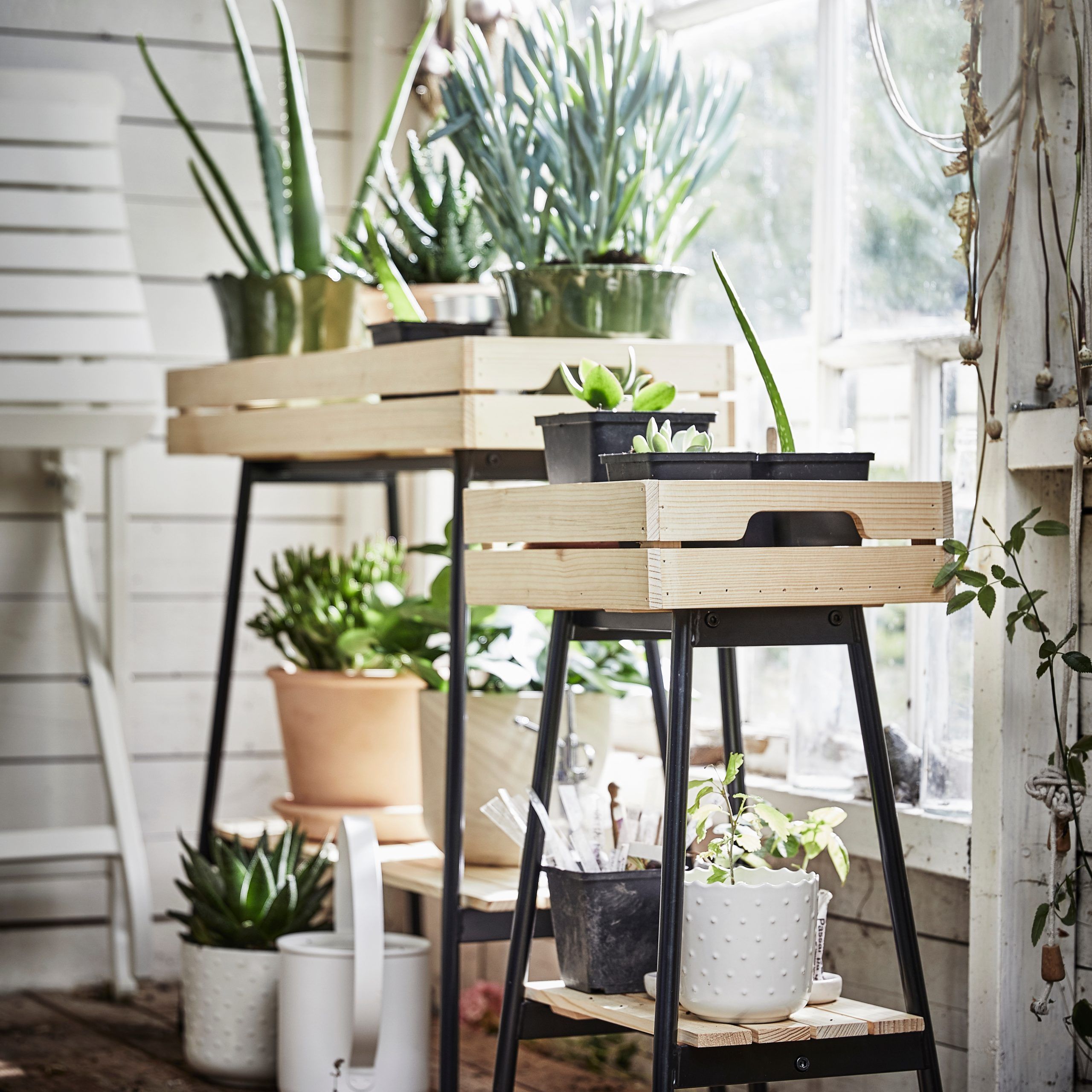 A Sturdy Plant Stand For Your Green Companions – Ikea Inside Green Plant Stands (View 2 of 15)
