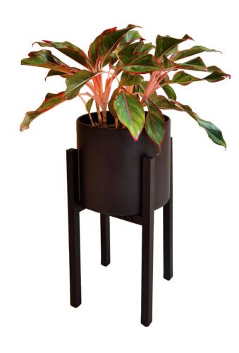 Adjustable Black Metal Plant Stand Dual Height Options Powder Coated Steel  Frame | Ebay For Powdercoat Plant Stands (View 7 of 15)