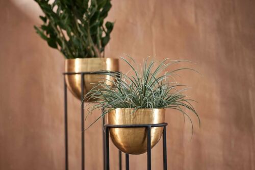 Antique Brass Gold Bowl Planter On Stand, Indoor Metal Plant Pot, Nkuku  Atsu | Ebay In Plant Stands With Flower Bowl (View 7 of 15)