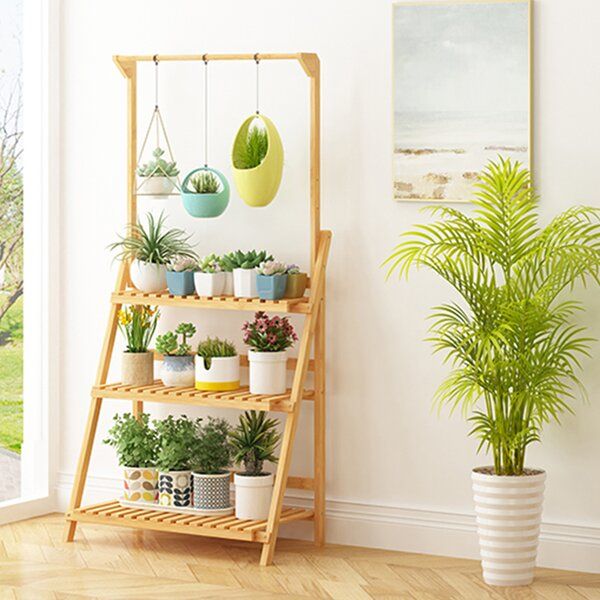 Arlmont & Co. Bamboo Ladder Plant Stand & Reviews | Wayfair Intended For  (View 3 of 15)