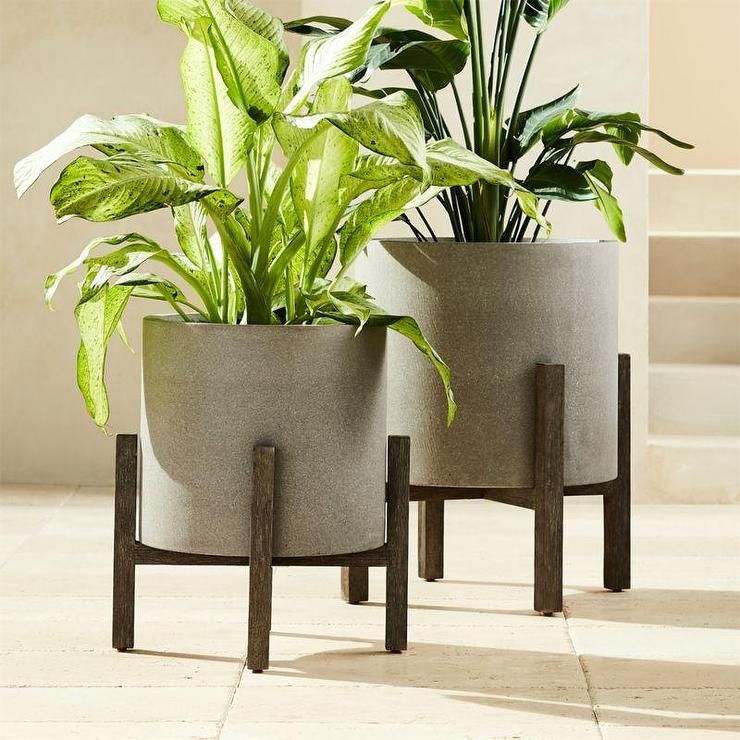 Ascoli Gray Stone Wood Stand Planters With Stone Plant Stands (View 8 of 15)