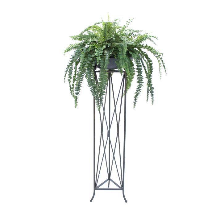 Boston Fern In Stone Bowl In Large Plant Stand – Distinctive Designs Inside Stone Plant Stands (View 12 of 15)