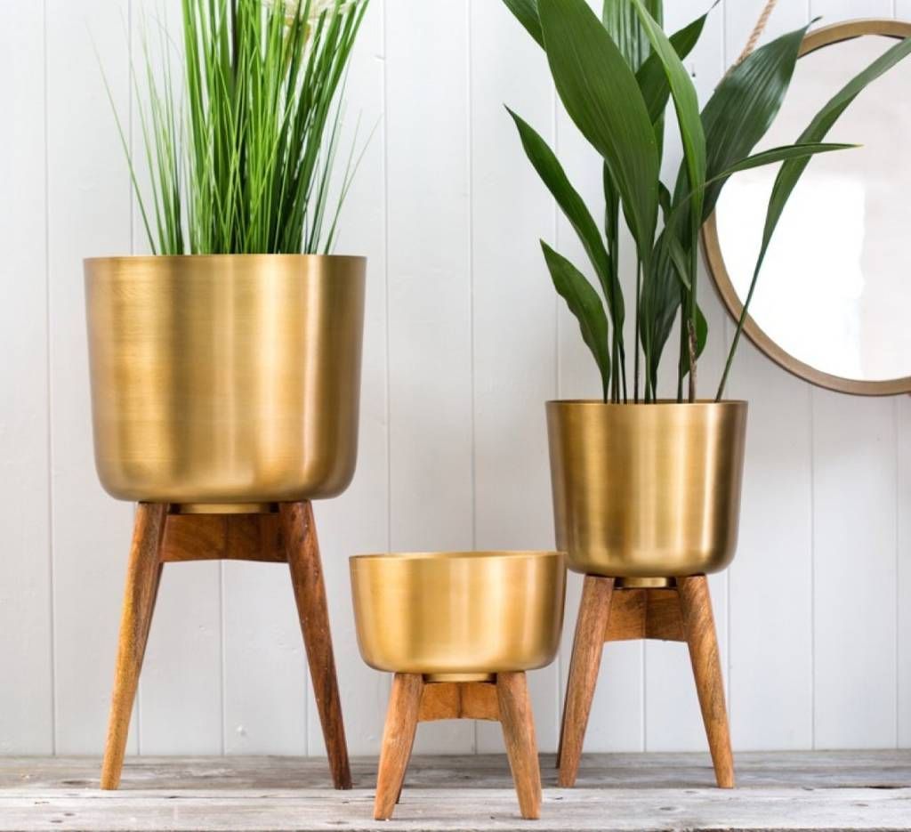 Brass Plant Pot On A Wooden Standthe Forest & Co |  Notonthehighstreet Inside Brass Plant Stands (View 13 of 15)