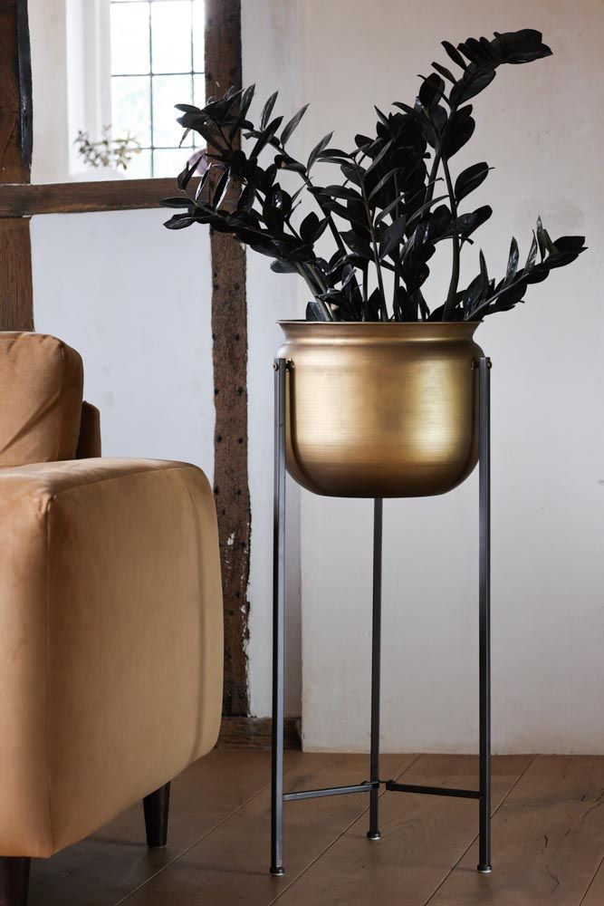 Bronze Planter On Metal Stand | Rockett St George Inside Bronze Plant Stands (View 1 of 15)