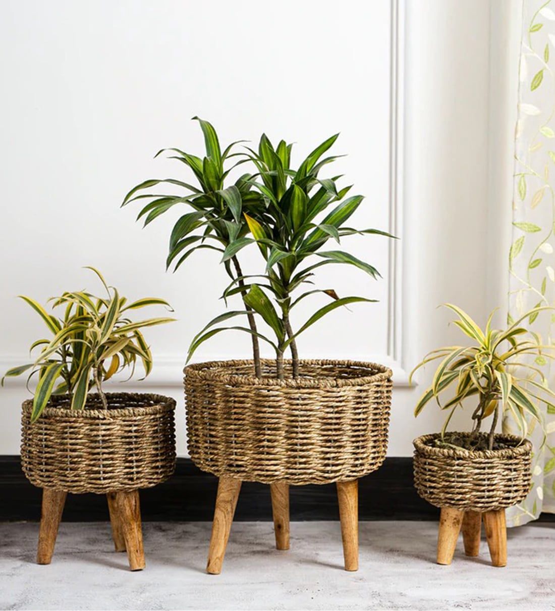 Buy Brown Metal Planter Stand With Jute Rope And Wooden Legs, Set Of 3 Foliyaj Online – Metal Planter Stands – Pots & Planters – Home Decor –  Pepperfry Product Pertaining To Brown Metal Plant Stands (View 3 of 15)