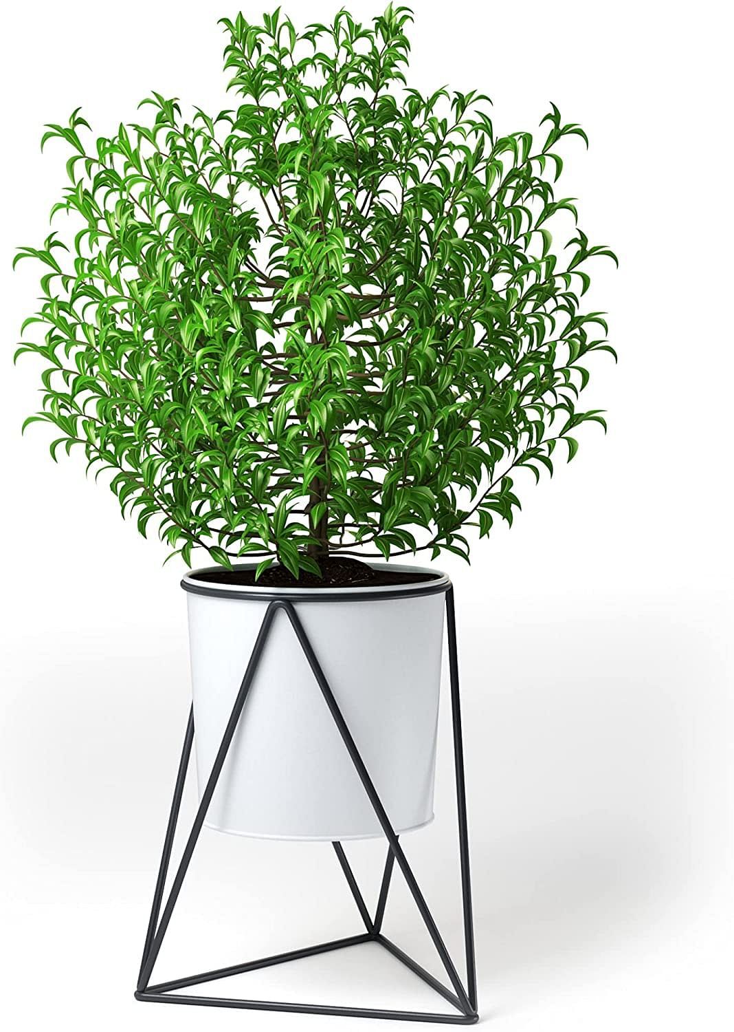 Buy Indoor Plant Stand With Pot – Kensington London Hand Finished Grey  Metal Tripod Stand And White Metal Pot – House Plant And Flower Holder –  Powder Coated Galvanized Iron Online At Lowest Within Powdercoat Plant Stands (View 11 of 15)