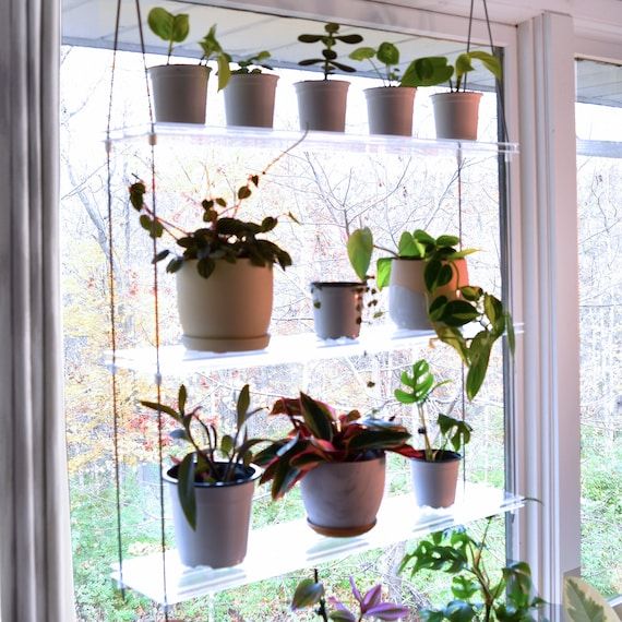 Clear Acrylic Window Plant Shelf Hanging Plant Shelf Indoor – Etsy Regarding Clear Plant Stands (View 2 of 15)