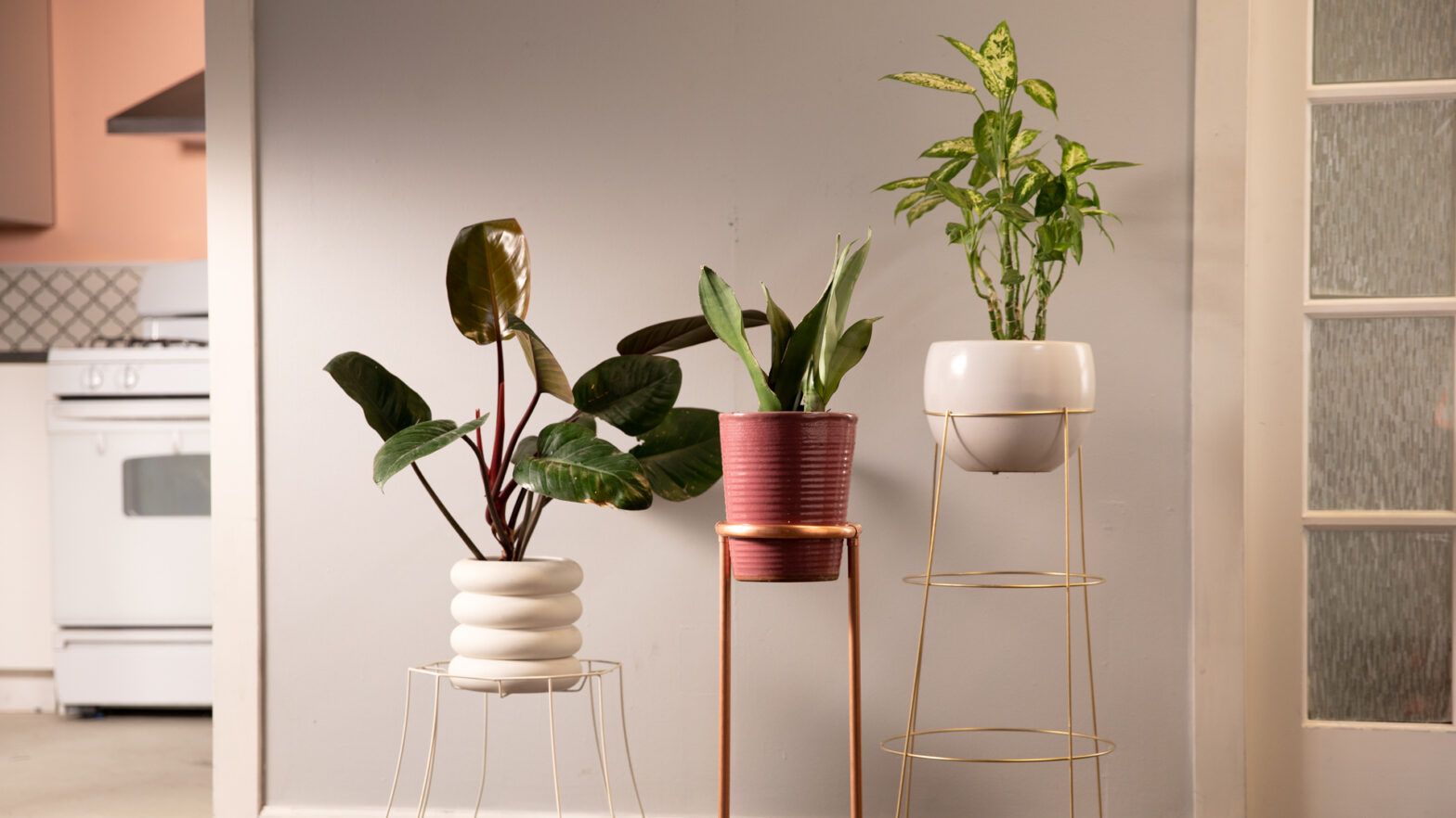 Diy Modern Plant Stands 3 Ways In 15 Minutes Or Less | Geico Living With Modern Plant Stands (View 12 of 15)