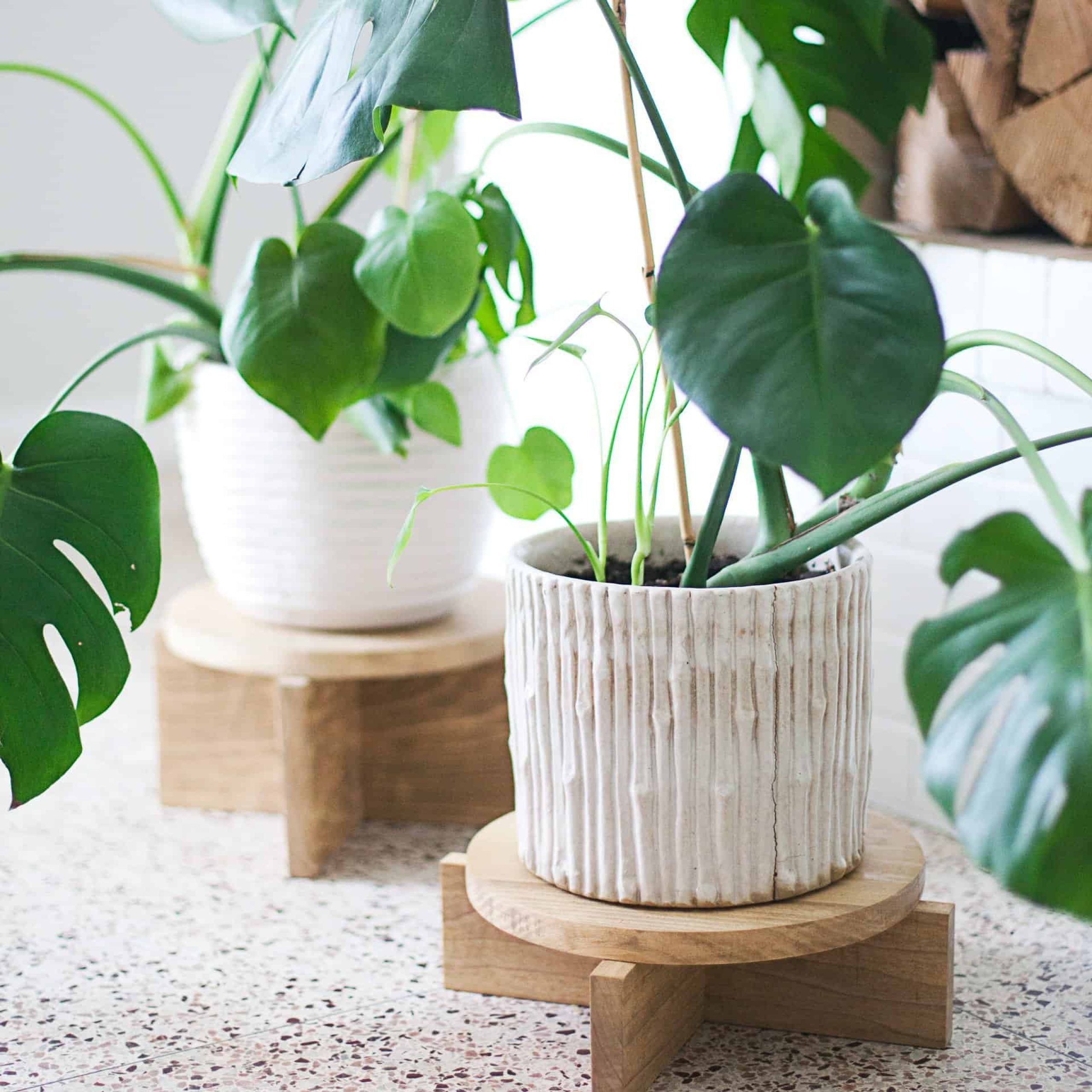 Diy Modern Wood Plant Stands – A Beautiful Mess Regarding Particle Board Plant Stands (View 5 of 15)