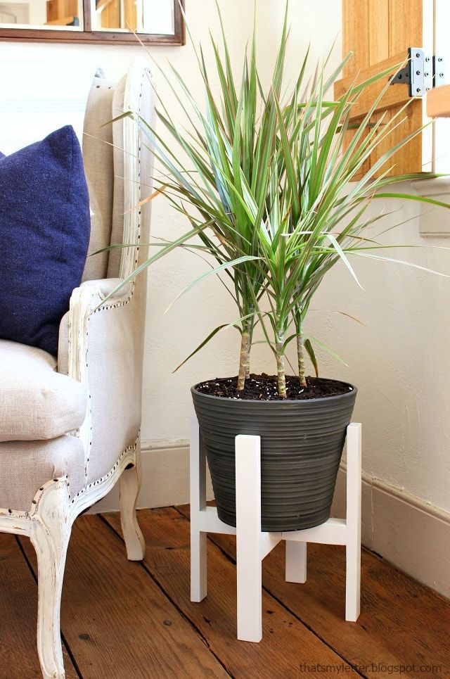 Diy Plant Stand With Free Plans – Jaime Costiglio Intended For Painted Wood Plant Stands (View 7 of 15)