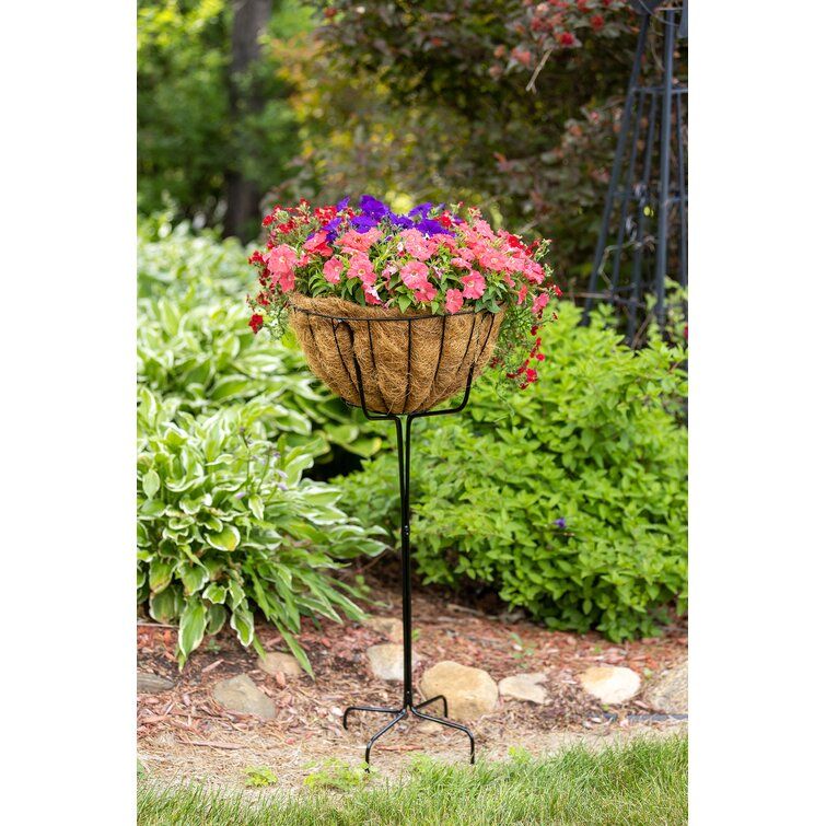 Ebern Designs Addylan Plant Stand & Reviews | Wayfair For 14 Inch Plant Stands (View 12 of 15)