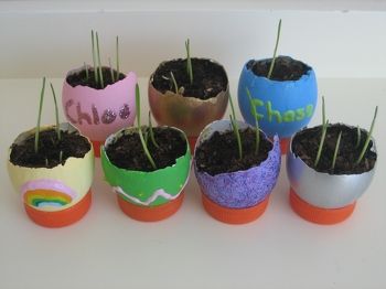 Eggshell Planters | Activity | Education Inside Eggshell Plant Stands (View 10 of 15)