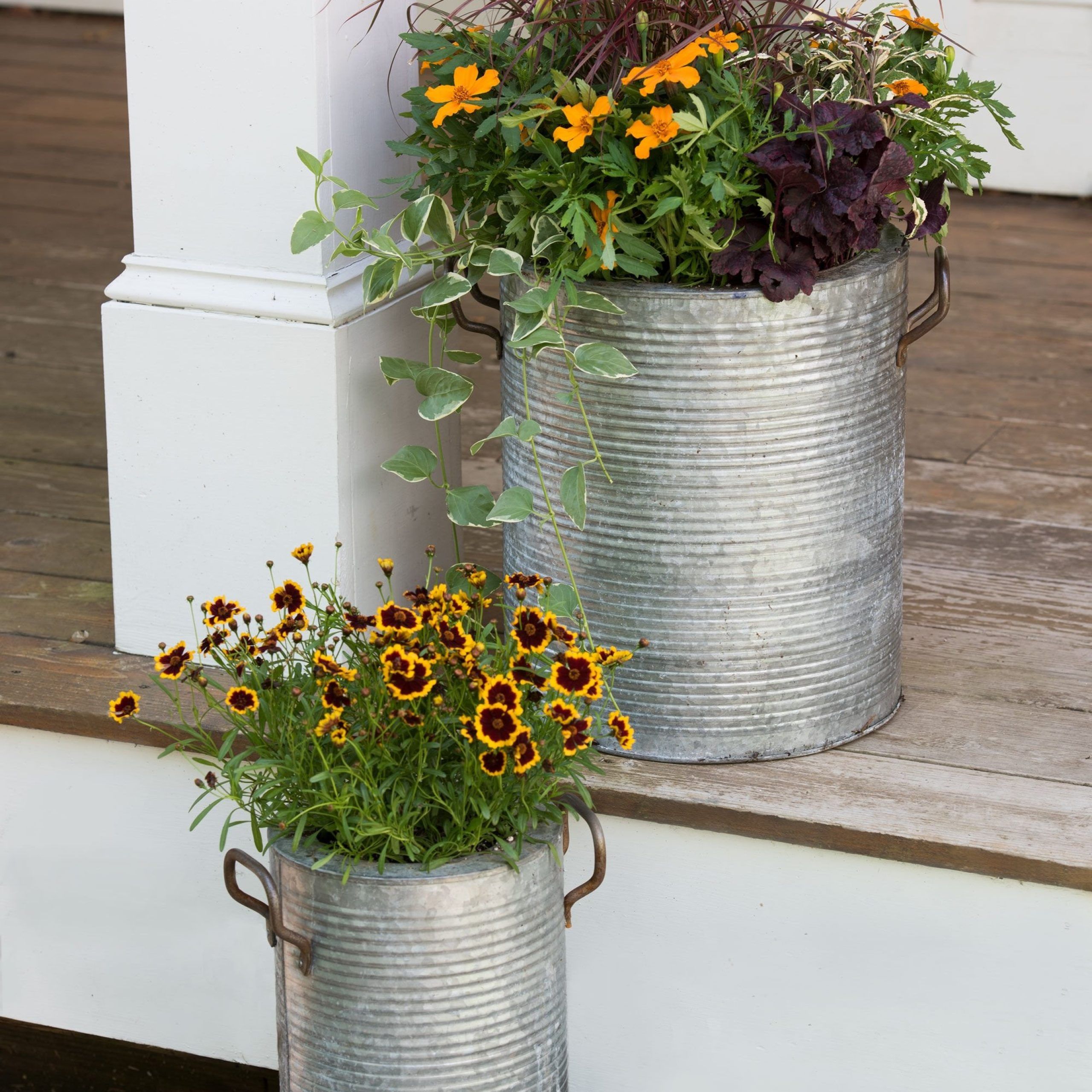 Galvanized Metal Planters With A Rim And Handles | Gardeners With Galvanized Plant Stands (View 6 of 15)