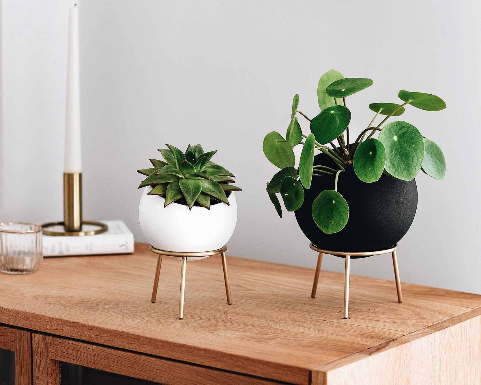 Globe Sphere Table And Floor Planters With Brass Stand – Etsy For Globe Plant Stands (View 14 of 15)