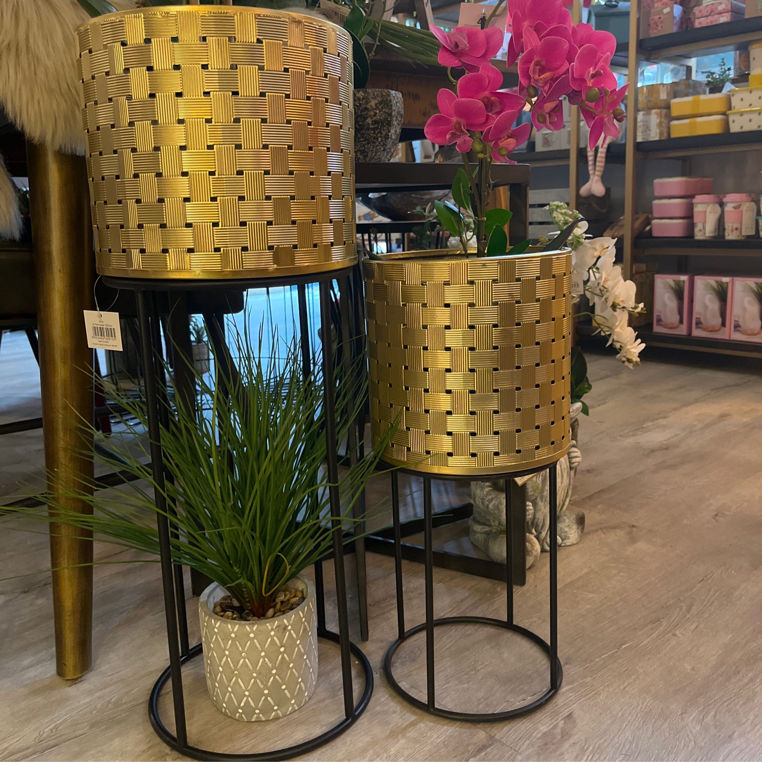 Gold Plant Stands Set Of Two 72cm & 52cm | Home Sweet Home Throughout Gold Plant Stands (View 9 of 15)