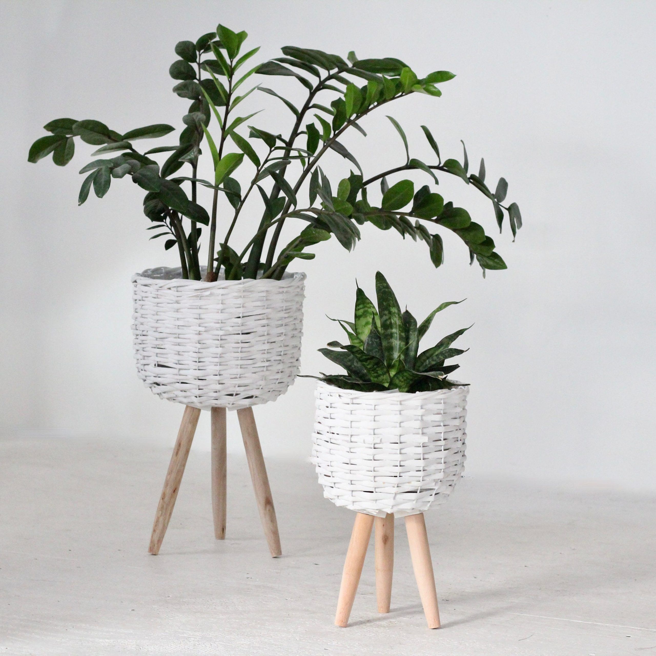 Gray Plant Stand – Etsy Inside Ancient Grey Plant Stands (View 8 of 15)