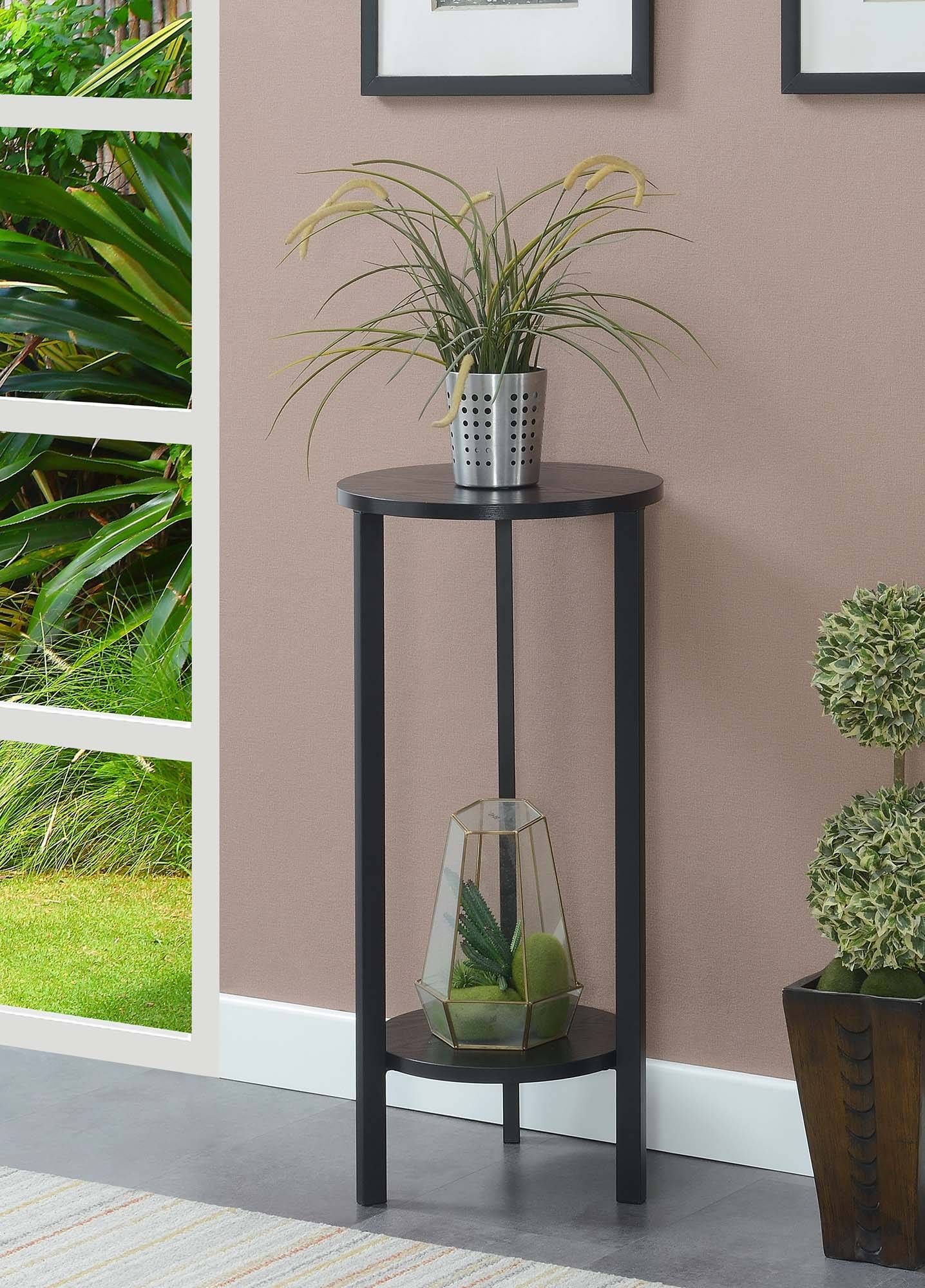 Graystone 31 Inch Plant Stand In Black – Convenience Concepts 111253blbl Intended For 31 Inch Plant Stands (View 4 of 15)