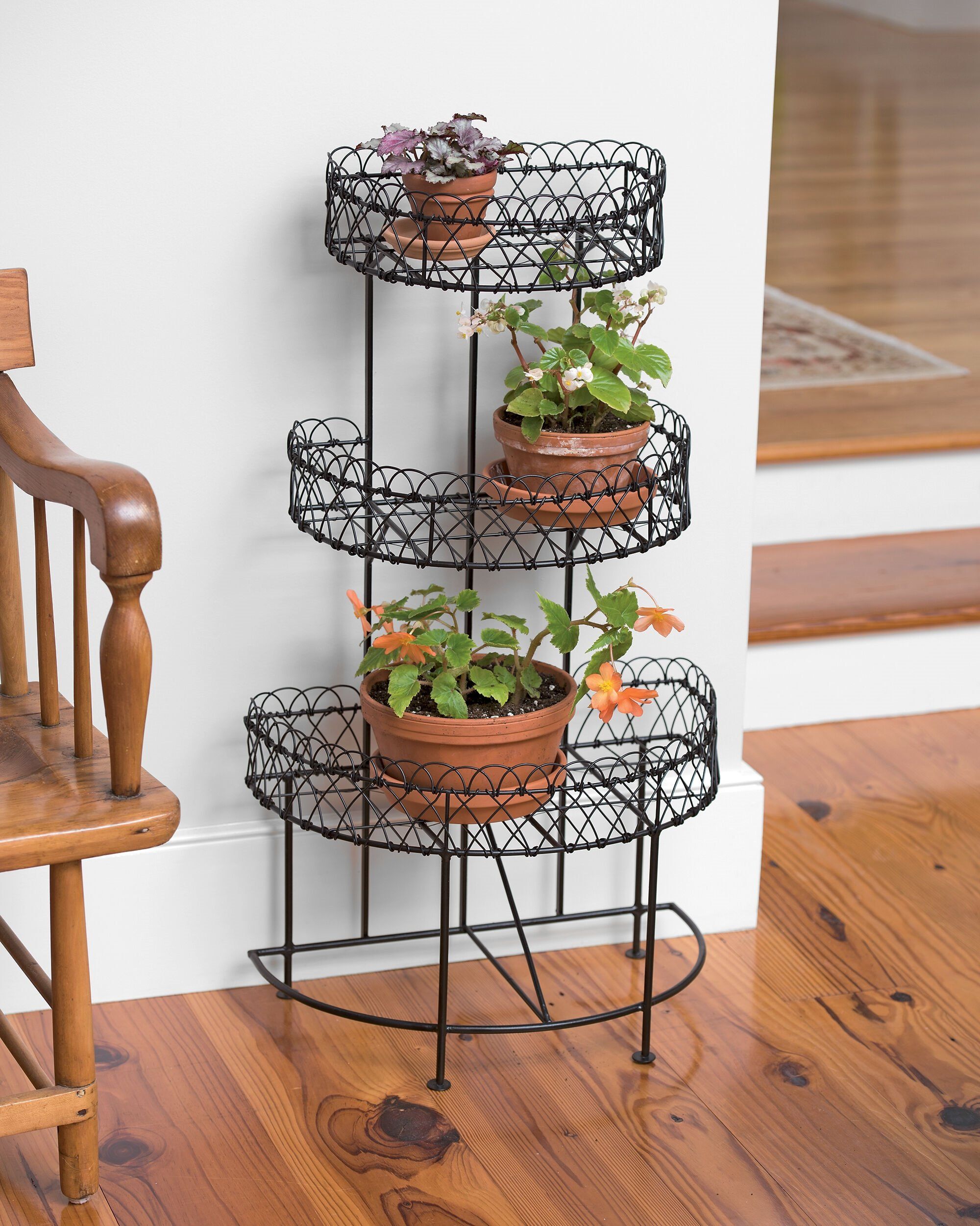 Half Round Plant Stand – Metal Indoor Outdoor | Gardeners Throughout Round Plant Stands (View 12 of 15)