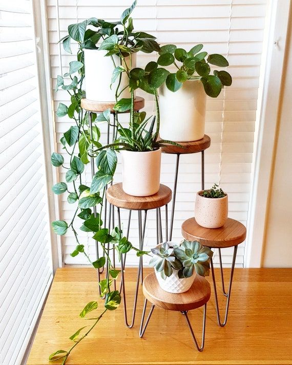 Harper Hairpin Leg Plant Stand Metal Plant Stand Plant – Etsy Australia Within Plant Stands With Table (View 10 of 15)