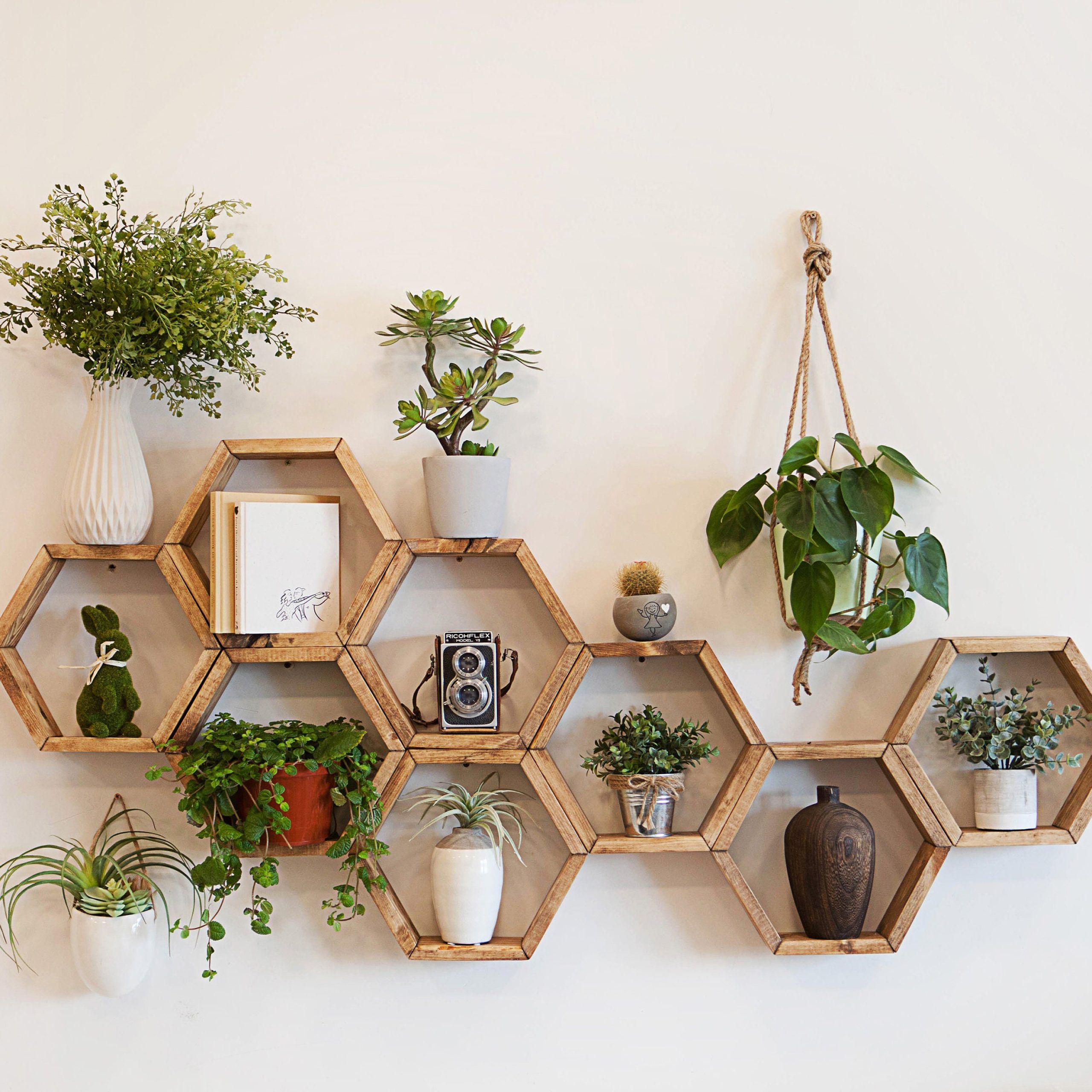 Hexagon Plant Shelf – Etsy Regarding Hexagon Plant Stands (View 10 of 15)