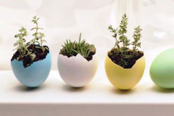 How To Make Eggshell Planters Throughout Eggshell Plant Stands (View 4 of 15)