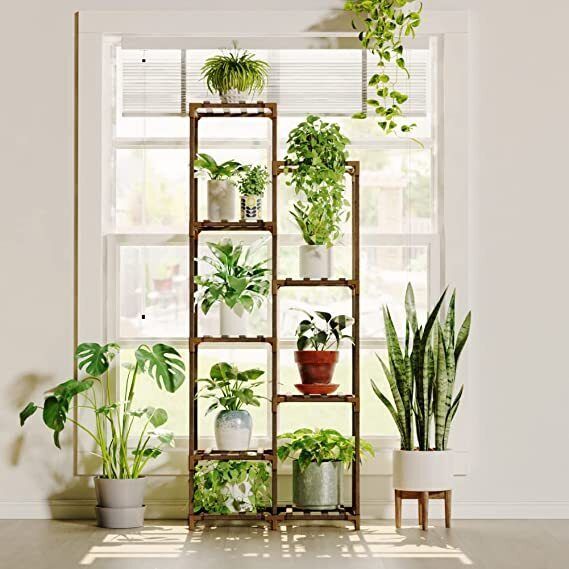 Indoor Plant Stands – Ideas On Foter With Green Plant Stands (View 3 of 15)