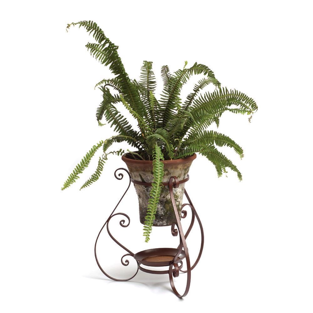 Iron Sevilla Plant Stand – Campo De' Fiori – Naturally Mossed Terra Cotta  Planters, Carved Stone, Forged Iron, Cast Bronze, Distinctive Lighting,  Zinc And More For Your Home And Garden (View 10 of 15)
