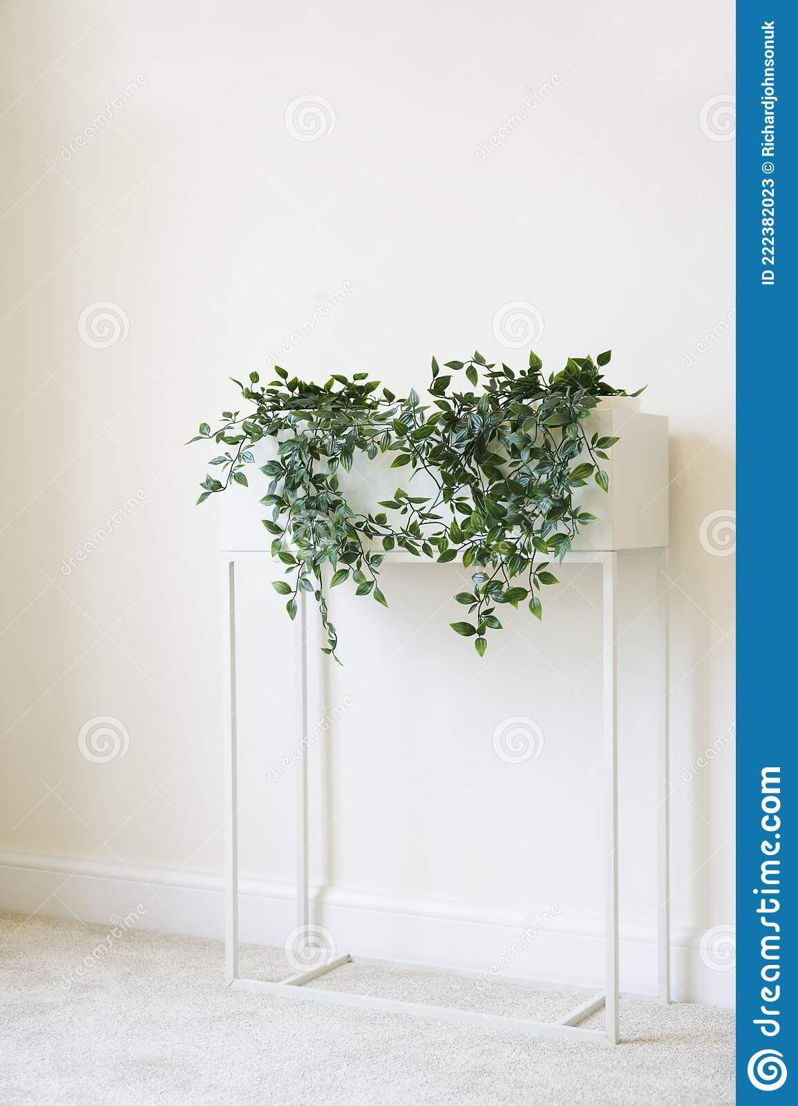 Ivy Green Plant In White Plant Stand And Neutral Decor Home Stock Image –  Image Of Wall, Exotic: 222382023 Intended For Ivory Plant Stands (View 11 of 15)