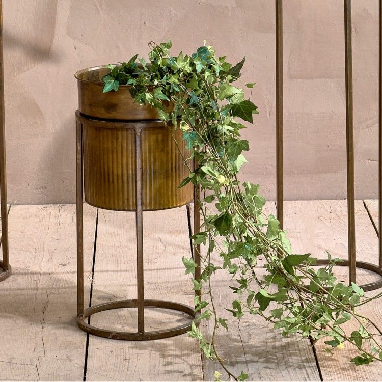 Kadassa Brass Planter Stand | Accessories For The Home Inside Brass Plant Stands (View 15 of 15)