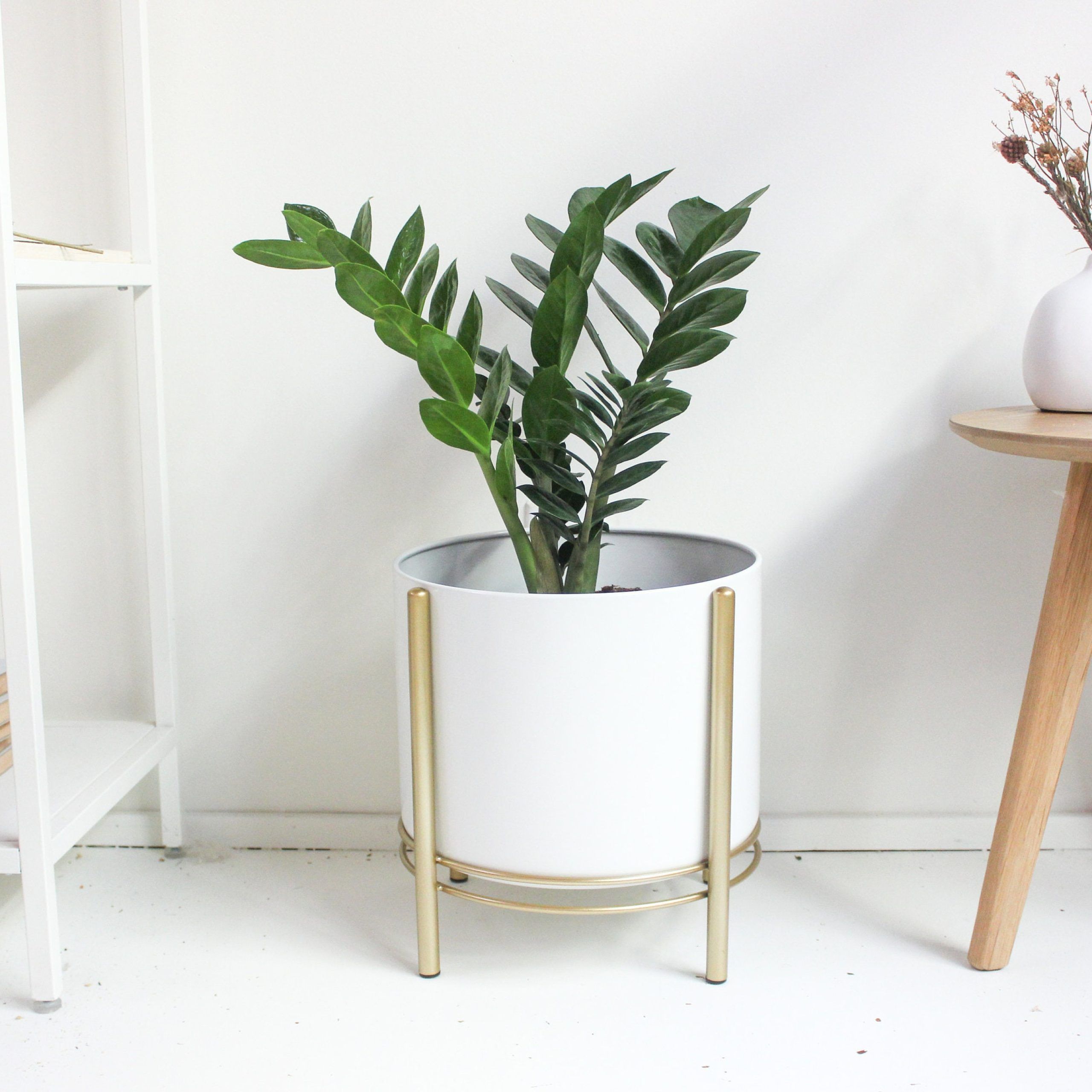 Large White Standing Planter Pot With Modern Gold Plant Stand – Etsy Italia With Gold Plant Stands (View 2 of 15)