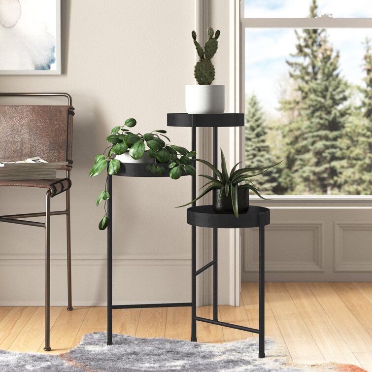 Mercury Row® Lofgren Round Multi Tiered Plant Stand & Reviews | Wayfair With Regard To Black Plant Stands (View 12 of 15)