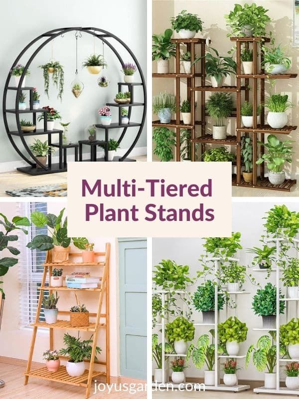 Multi Tier Plant Stands To Buy Online For Indoor Plant Stands (View 14 of 15)