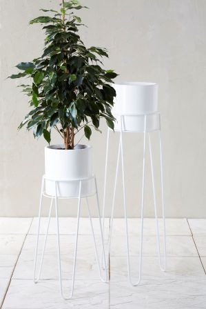 Next Set Of 2 White Plant Stands – White | White Plants, Plant Stand,  Garden Furniture Sets Pertaining To White Plant Stands (View 1 of 15)
