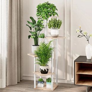 Plant & Flower Stands – Wayfair Canada Intended For Particle Board Plant Stands (View 15 of 15)
