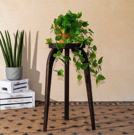 Plant Stand Medium Size Indoor Plant Stand Plant Stool – Etsy Uk Regarding Medium Plant Stands (View 8 of 15)