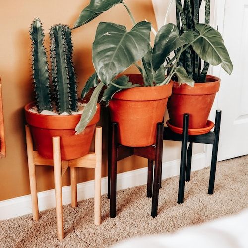Plant Stand Sits 12 Off Ground Great For Holiday – Etsy With 12 Inch Plant Stands (View 4 of 15)
