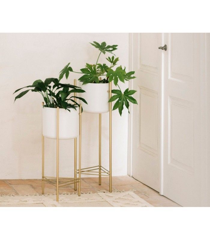 Plant Stand White And Gold Metal – Height 66cm With White Plant Stands (View 12 of 15)