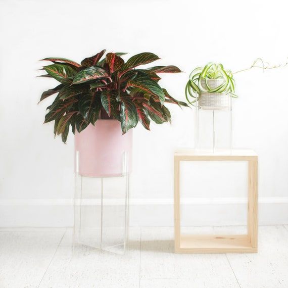 Plexiglass Clear Plant Stand Acrylic Floating Indoor Plant – Etsy Uk Inside Clear Plant Stands (View 1 of 15)