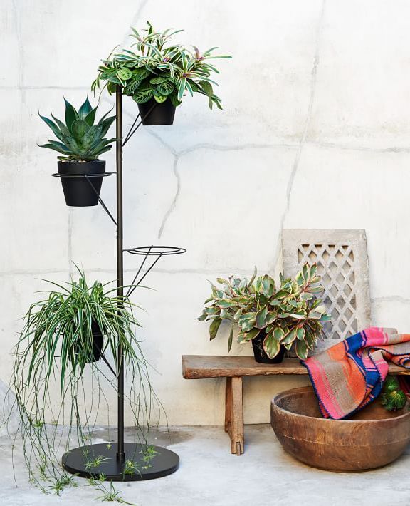 Prism Plant Stand | Plant Stand Indoor, Diy Plant Stand, Plant Stand Regarding Prism Plant Stands (View 4 of 15)